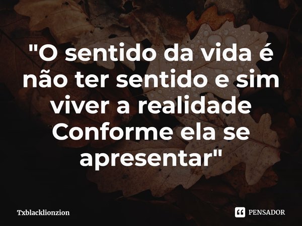 ⁠"O sentido da vida é não ter sentido e sim viver a realidade Conforme ela se apresentar "... Frase de Txblacklionzion.