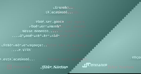 Caramba... Tá acabando... Pode ser agora Pode ser amanhã Nesse momento .... ...Já pode até ter sido Então não se esqueça... ...e VIVA Porque está acabando...... Frase de Tyler Norton.