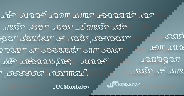 Se você com uma escada na mão ver seu irmão de cabeça baixa e não pensar em acertar a escada em sua cabeça. Me desculpe, você não é uma pessoa normal.... Frase de TY Monteiro.