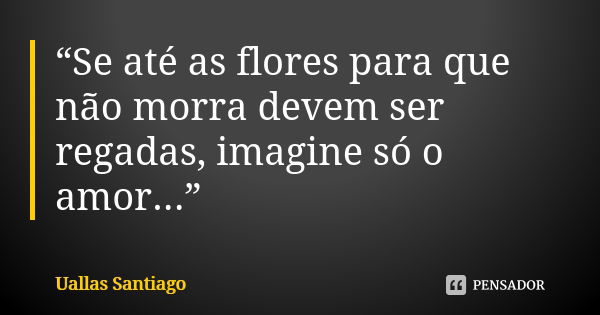 “Se até as flores para que não morra devem ser regadas, imagine só o amor...”... Frase de Uallas Santiago.