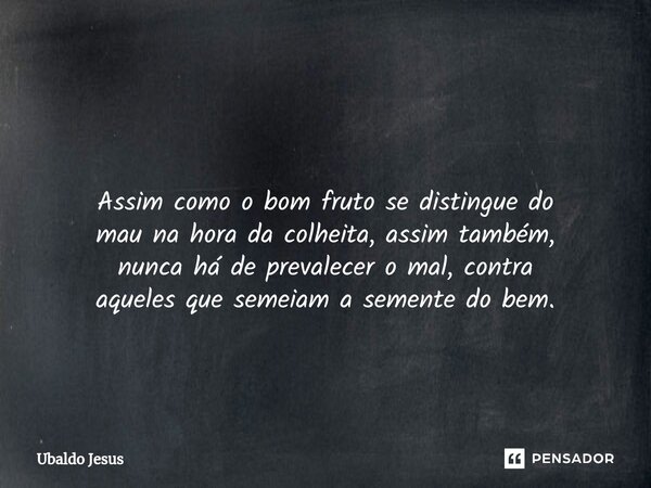 ⁠ Assim como o bom fruto sedistingue do mau na hora dacolheita, assim também, nuncahá de prevalecer o mal, contra aqueles que semeiam asemente do bem.... Frase de Ubaldo Jesus.