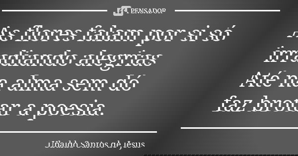 As flores falam por si só irradiando alegrias Até na alma sem dó faz brotar a poesia.... Frase de Ubaldo Santos de Jesus.