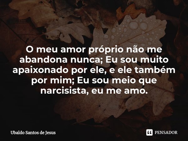 ⁠O meu amor próprio não me abandona nunca; Eu sou muito apaixonado por ele, e ele também por mim; Eu sou meio que narcisista, eu me amo.... Frase de Ubaldo Santos de Jesus.