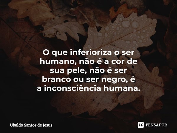 ⁠ O que inferioriza o ser
humano, não é acorde
suapele, não éser
brancoou ser negro, é
a inconsciência humana.... Frase de Ubaldo Santos de Jesus.