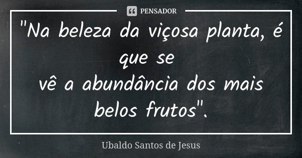 "Na beleza da viçosa planta, é que se vê a abundância dos mais belos frutos".... Frase de Ubaldo Santos de Jesus.