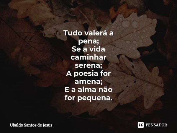 ⁠Tudo valerá a
pena;
Se avida
caminhar
serena;
A poesia for
amena;
E a alma não
for pequena.... Frase de Ubaldo Santos de Jesus.