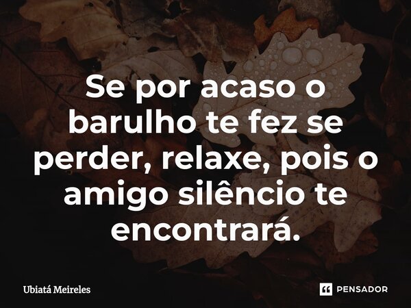⁠Se por acaso o barulho te fez se perder, relaxe, pois o amigo silêncio te encontrará.... Frase de Ubiatá Meireles.
