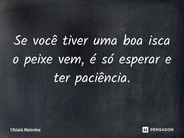 ⁠Se você tiver uma boa isca o peixe vem, é só esperar e ter paciência.... Frase de Ubiatá Meireles.