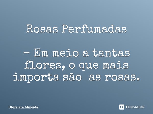 ⁠Rosas Perfumadas - Em meio a tantas flores, o que mais importa são as rosas.... Frase de Ubirajara Almeida.