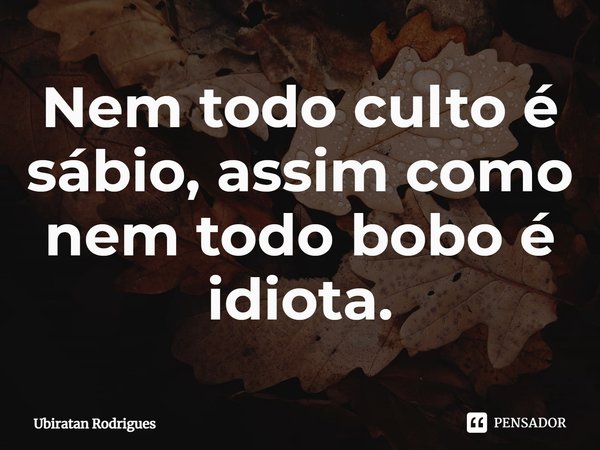 ⁠Nem todo culto é sábio, assim como nem todo bobo é idiota.... Frase de Ubiratan Rodrigues.