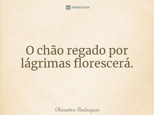 ⁠O chão regado por lágrimas florescerá.... Frase de Ubiratan Rodrigues.