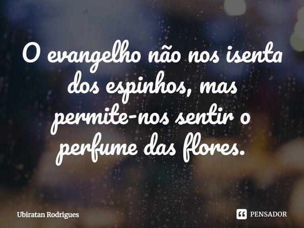 ⁠O evangelho não nos isenta dos espinhos, mas permite-nos sentir o perfume das flores.... Frase de Ubiratan Rodrigues.