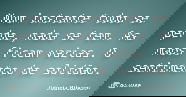 Num instante tudo se perde, nada se tem. As maos ficam vazias. O sentimento de solidão.... Frase de Udnéia Ribeiro.
