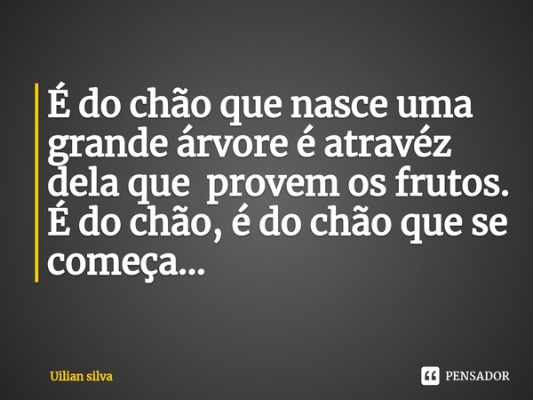 ⁠É do chão que nasce uma grande árvore é atravéz dela que provem os frutos.
É do chão, é do chão que se começa...... Frase de Uilian silva.