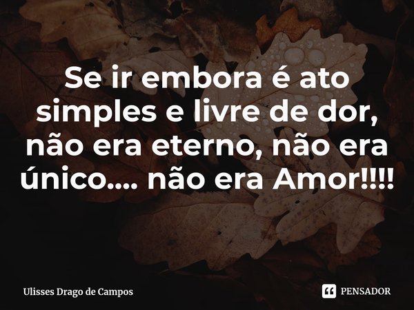 ⁠Se ir embora é ato simples e livre de dor, não era eterno, não era único.... não era Amor!!!!... Frase de Ulisses Drago de Campos.