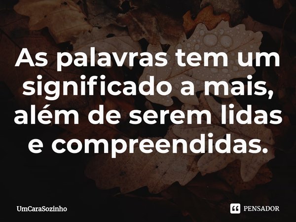 ⁠As palavras tem um significado a mais, além de serem lidas e compreendidas.... Frase de UmCaraSozinho.