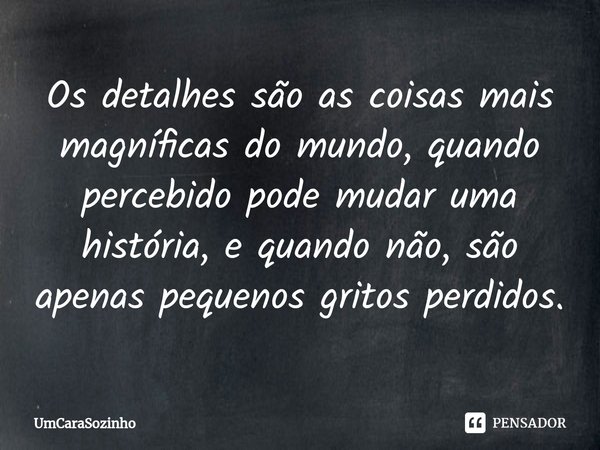 ⁠Os detalhes são as coisas mais magníficas do mundo, quando percebido pode mudar uma história, e quando não, são apenas pequenos gritos perdidos.... Frase de UmCaraSozinho.