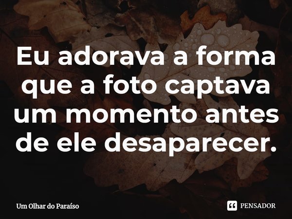 ⁠Eu adorava a forma que a foto captava um momento antes de ele desaparecer.... Frase de Um Olhar do Paraíso.