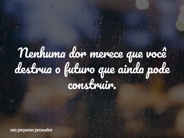 Nenhuma dor merece que você destrua o futuro que ainda pode construir.... Frase de um pequeno pensador.