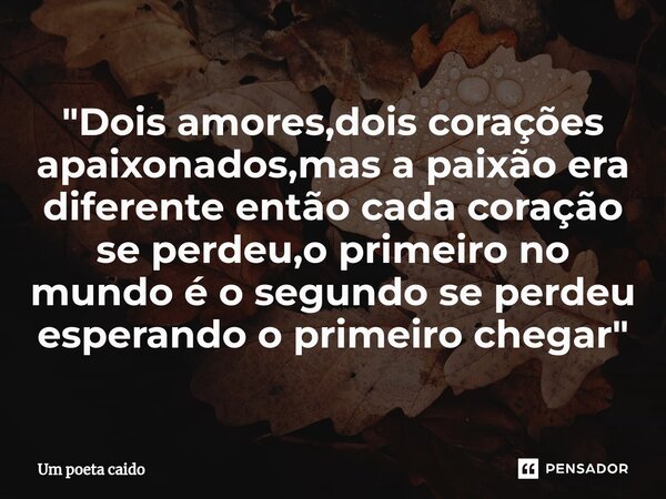 ⁠"Dois amores,dois corações apaixonados,mas a paixão era diferente então cada coração se perdeu,o primeiro no mundo é o segundo se perdeu esperando o prime... Frase de Um poeta caido.