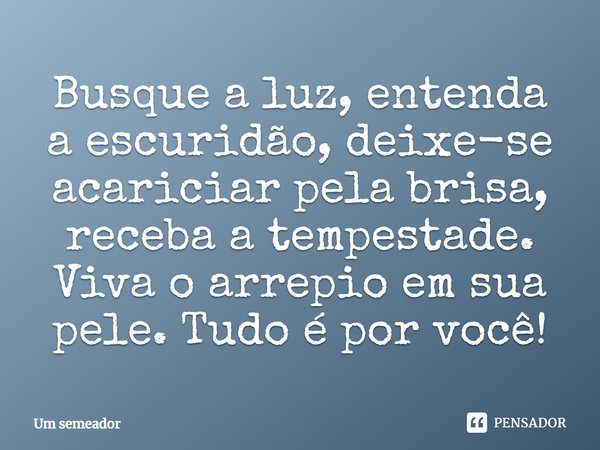 ⁠Busque a luz, entenda a escuridão, deixe-se acariciar pela brisa, receba a tempestade. Viva o arrepio em sua pele. Tudo é por você!... Frase de Um semeador.