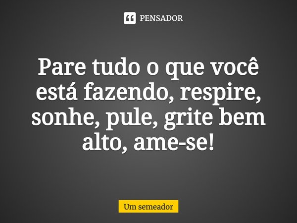 ⁠Pare tudo o que você está fazendo, respire, sonhe, pule, grite bem alto, ame-se!... Frase de Um semeador.