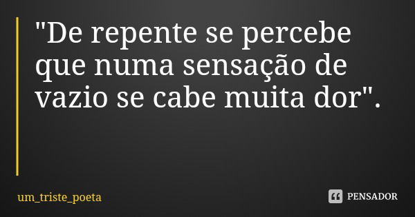 "De repente se percebe que numa sensação de vazio se cabe muita dor".... Frase de um_triste_poeta.