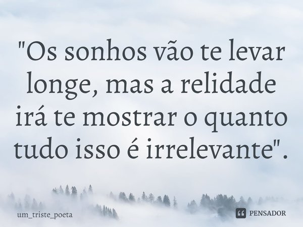 ⁠"Os sonhos vão te levar longe, mas a relidade irá te mostrar o quanto tudo isso é irrelevante".... Frase de um_triste_poeta.