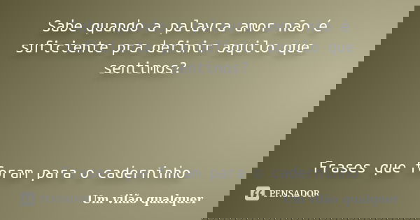 Sabe quando a palavra amor não é suficiente pra definir aquilo que sentimos? Frases que foram para o caderninho... Frase de Um vilão qualquer.