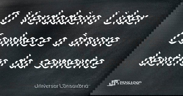 O Verdadeiro Lider Conhece a àrvore dentro da semente... Frase de Universal Consultoria.