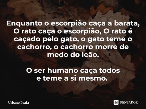 Enquanto o escorpião caça a barata, O rato caça o escorpião, O rato é caçado pelo gato, o gato teme o cachorro, o cachorro morre de medo do leão. O ser humano c... Frase de Urbano Leafa.