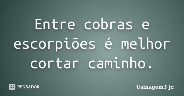 Entre cobras e escorpiões é melhor cortar caminho.... Frase de Usinagem3 Jr..