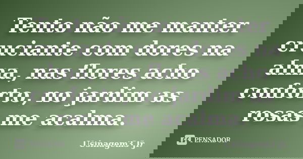 Tento não me manter cruciante com dores na alma, nas flores acho conforto, no jardim as rosas me acalma.... Frase de Usinagem3 Jr..