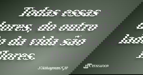 Todas essas dores, do outro lado da vida são flores.... Frase de Usinagem3 Jr..