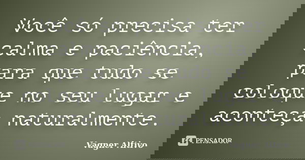 Você só precisa ter calma e paciência, para que tudo se coloque no seu lugar e aconteça naturalmente.... Frase de Vagner Altivo.