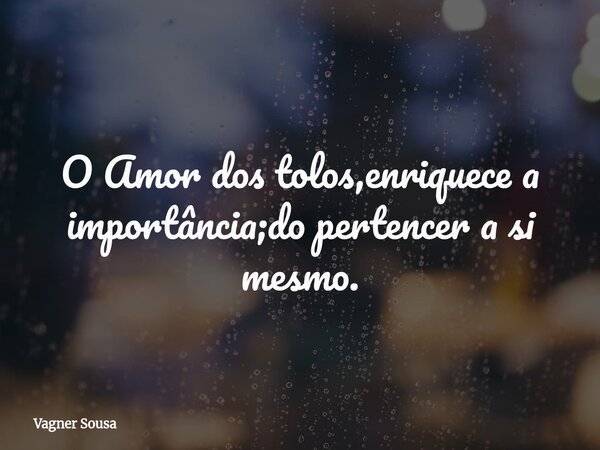 O Amor dos tolos,enriquece a importância;do pertencer a si mesmo.... Frase de Vagner Sousa.