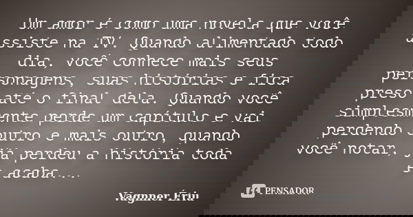 Um amor é como uma novela que você assiste na TV. Quando alimentado todo dia, você conhece mais seus personagens, suas histórias e fica preso até o final dela. ... Frase de Vagnner Ériu.
