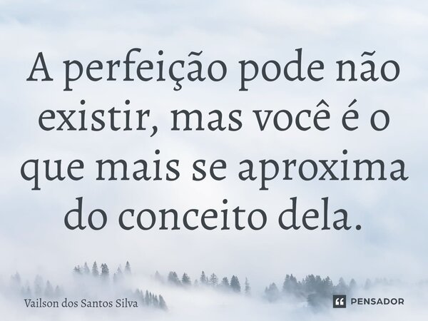 A perfeição pode não existir, mas você é o que mais se aproxima do conceito dela.... Frase de Vailson dos Santos Silva.