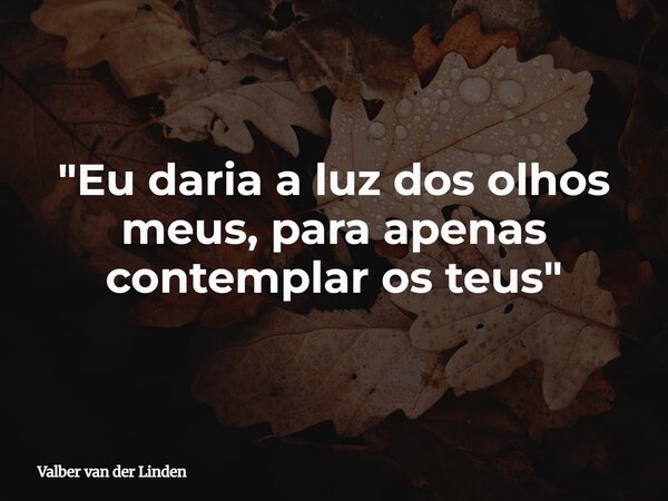 "Eu daria a luz dos olhos meus, para apenas contemplar os teus"... Frase de Valber van der Linden.