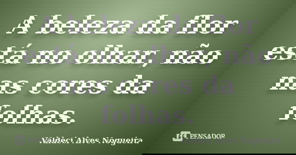 A beleza da flor está no olhar, não nas cores da folhas.... Frase de Valdeci Alves Nogueira.