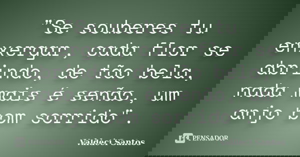 "Se souberes tu enxergar, cada flor se abrindo, de tão bela, nada mais é senão, um anjo bom sorrido".... Frase de Valdeci Santos.
