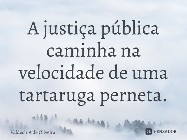⁠A justiça pública caminha na velocidade de uma tartaruga perneta.... Frase de Valdecir A de Oliveira.