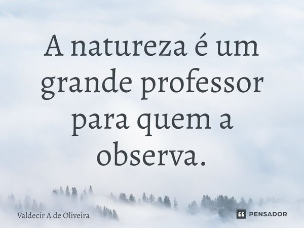 ⁠A natureza é um grande professor para quem a observa.... Frase de Valdecir A de Oliveira.