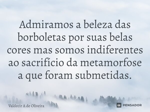 ⁠Admiramos a beleza das borboletas por suas belas cores mas somos indiferentes ao sacrifício da metamorfose a que foram submetidas.... Frase de Valdecir A de Oliveira.