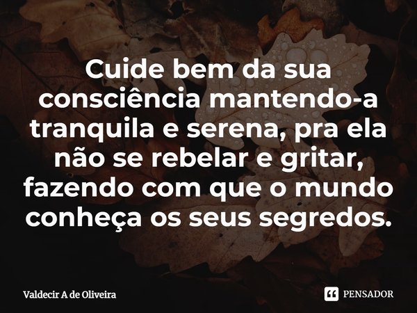 ⁠Cuide bem da sua consciência mantendo-a tranquila e serena, pra ela não se rebelar e gritar, fazendo com que o mundo conheça os seus segredos.... Frase de Valdecir A de Oliveira.