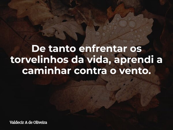 De tanto enfrentar os torvelinhos da vida, aprendi a caminhar contra o vento.... Frase de Valdecir A de Oliveira.