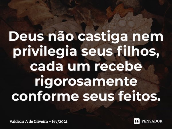 ⁠Deus não castiga nem privilegia seus filhos, cada um recebe rigorosamente conforme seus feitos.... Frase de Valdecir A de Oliveira - fev2021.