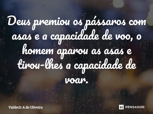 ⁠Deus premiou os pássaros com asas e a capacidade de voo, o homem aparou as asas e tirou-lhes a capacidade de voar.... Frase de Valdecir A de Oliveira.