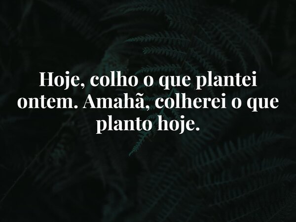 Hoje, colho o que plantei ontem. Amahã, colherei o que planto hoje.... Frase de Valdecir A de Oliveira.