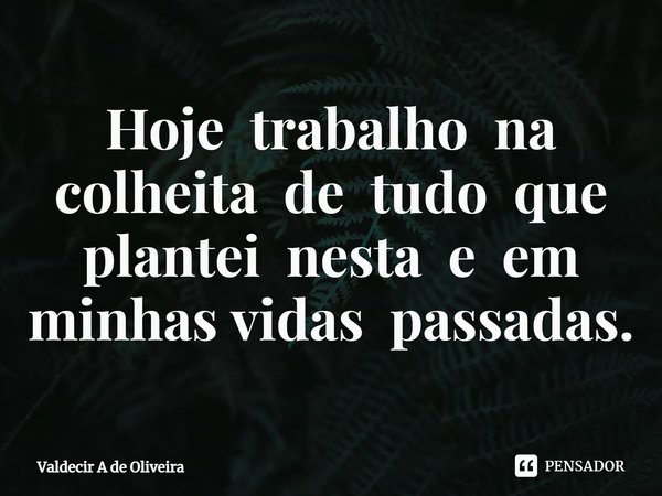 ⁠Hoje trabalho na colheita de tudo que plantei nesta e em minhas vidas passadas.... Frase de Valdecir A de Oliveira.